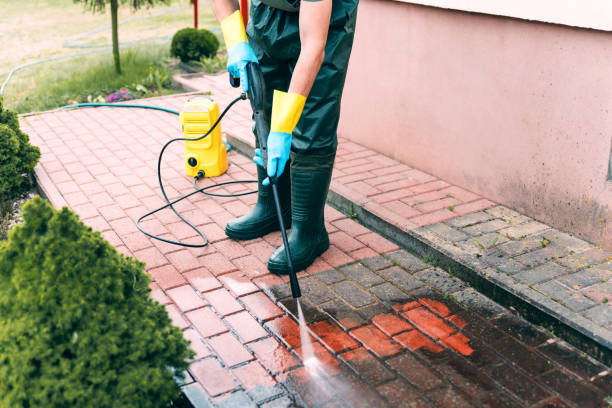 Animal Enclosure Cleaning in Hometown, IL